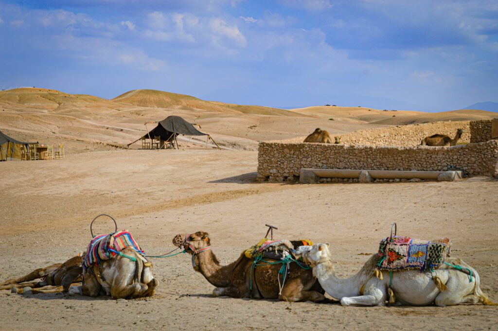 2 Day Morocco Sahara Tour Package